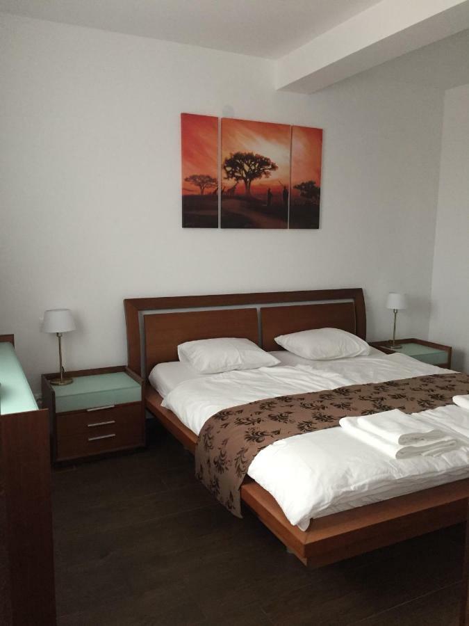 Villa Residence Sînmartin المظهر الخارجي الصورة